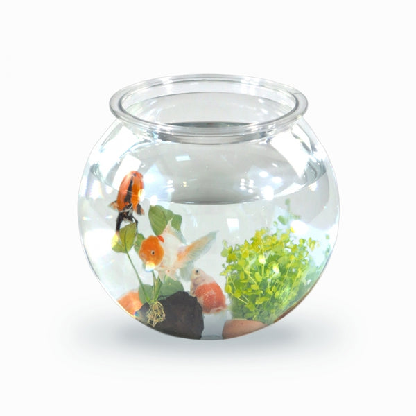 Small round fish tank | PET eco | 4L | Small fish | Easy cleaning | 20x20x17.5cm | Aquatic garden | Nemo | Mobiclinic